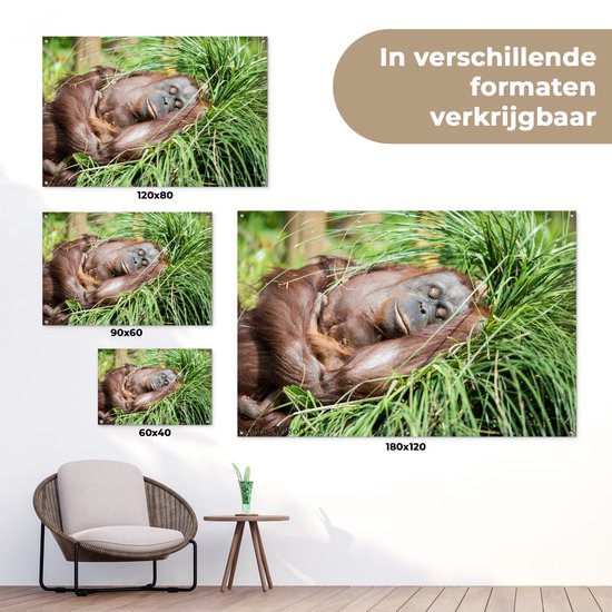 Tuinposter 180x120 cm - Tuindecoratie Aap - Jong - Gras - Slapen - Poster voor in de tuin - Buiten decoratie - Schutting tuinschilderij - Tuindoek muurdecoratie - Wanddecoratie balkondoek