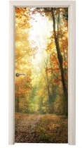 Sticker de porte Forêt - Automne - Soleil - Paysage - Nature - Arbres - Feuilles - 80x205 cm - Poster de porte