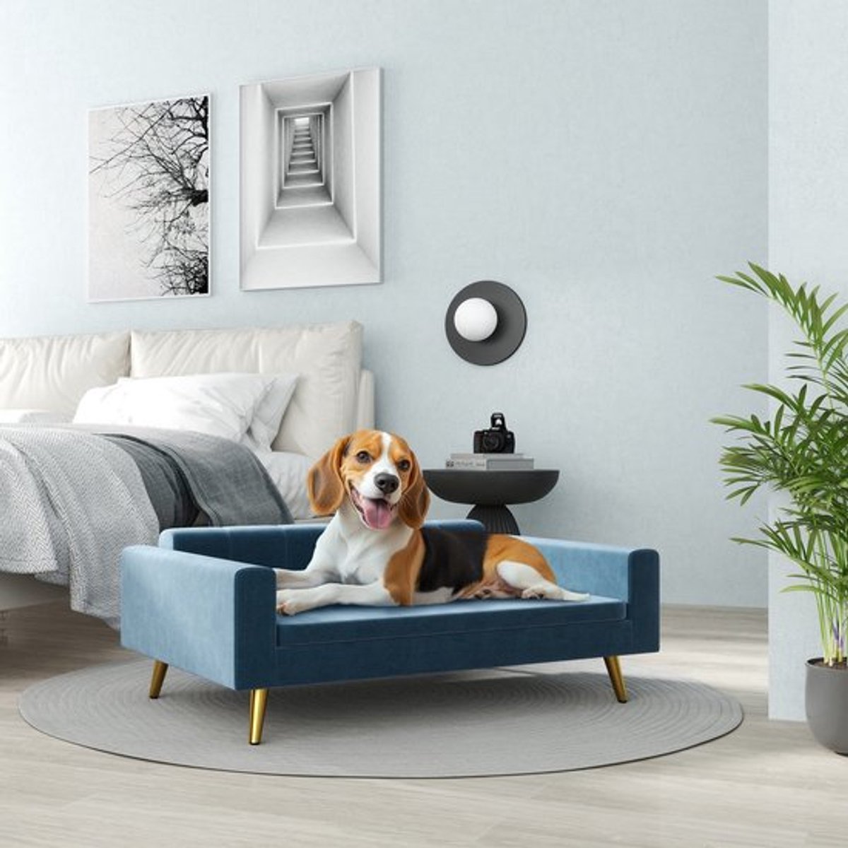 Hondenmand – Hondensofa – Hondenbed – Donutmand – Dierenmand – Velvet Bekleding – Roestvrijstalen Poten – 94x59,5x31,5 cm – Blauw
