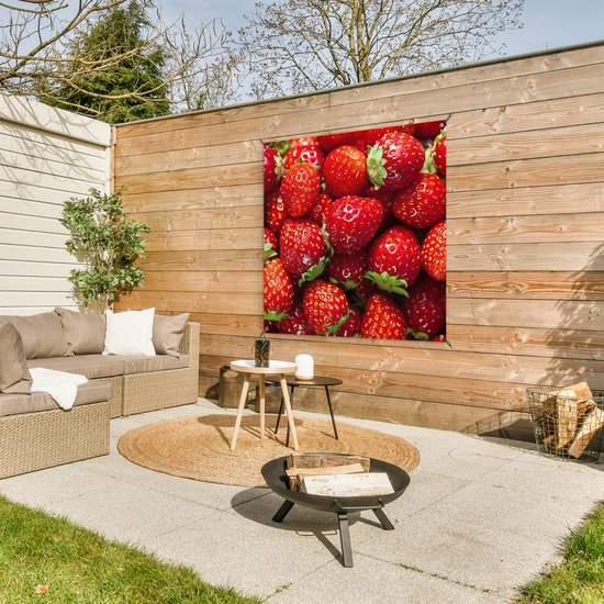 Chiffon de jardin Fraise - Fruit - Graines - 100x100 cm