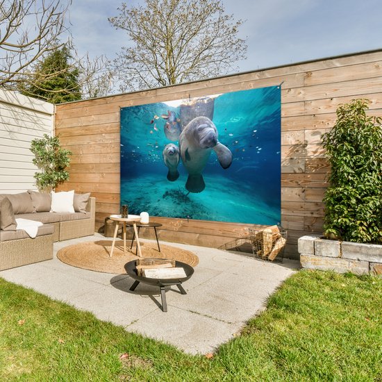 Décoration murale Lamantin antillais avec bébé - 180x120 cm - Poster jardin - Toile jardin - Poster extérieur