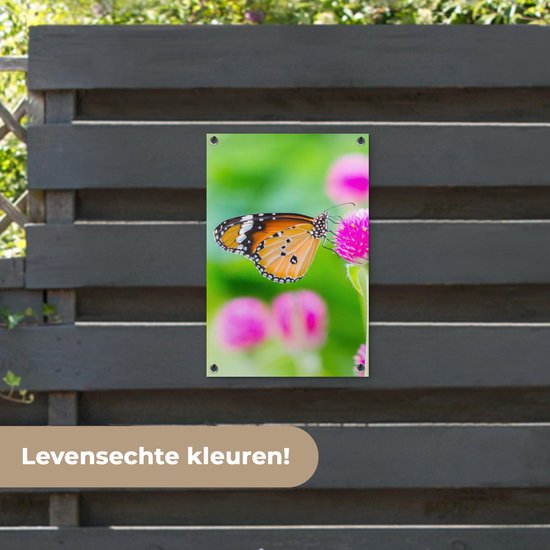 Affiche jardin - Papillon - Insectes - Fleurs - Fauna - Décoration de jardin - 40x60 cm - Toile jardin