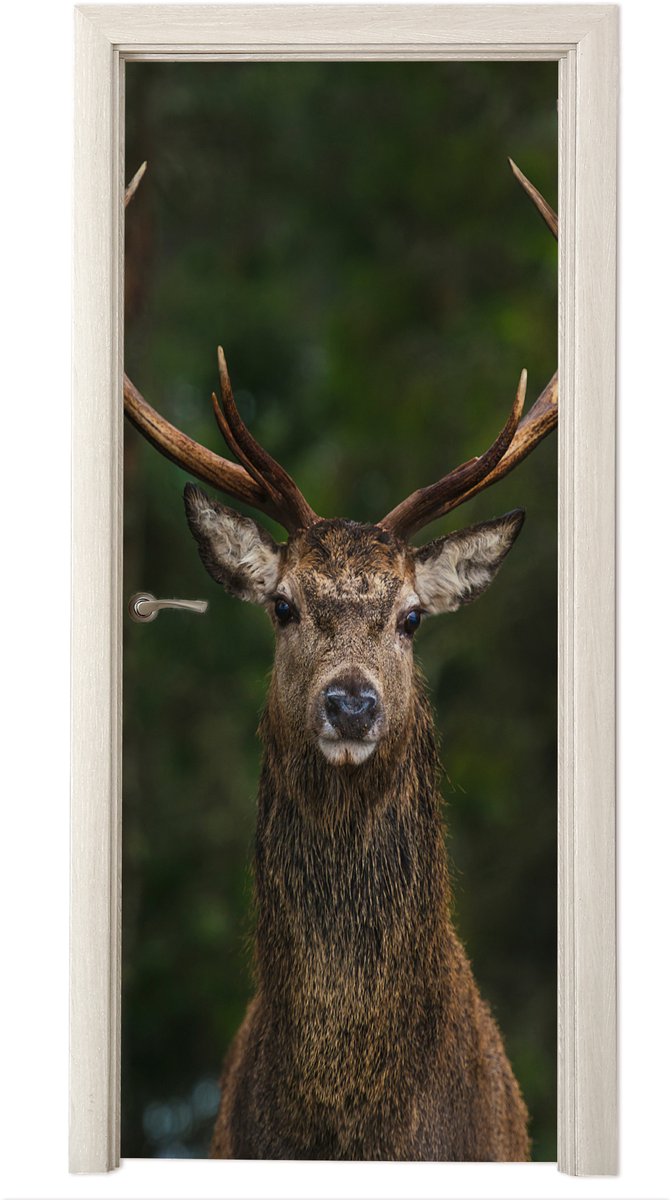 Deurposter 85x215 cm - Deursticker Hert - Gewei - Natuur - Meubelfolie zelfklevend - Deurf