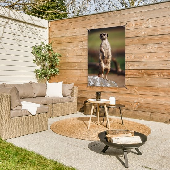 Affiche de jardin suricate regarde autour de 60x90 cm - Toile de jardin / Toile d'extérieur / Peintures d'extérieur (décoration de jardin)
