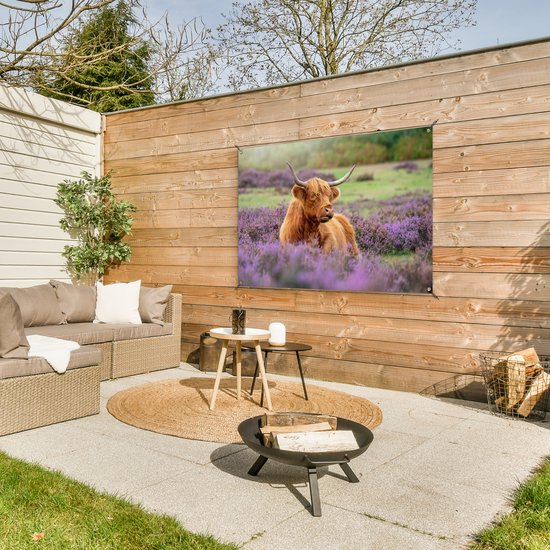 Un montagnard écossais se trouve parmi les fleurs violettes.Affiche de jardin 120x80 cm - Toile de jardin / Toile d'extérieur / Peintures d'extérieur (décoration de jardin)
