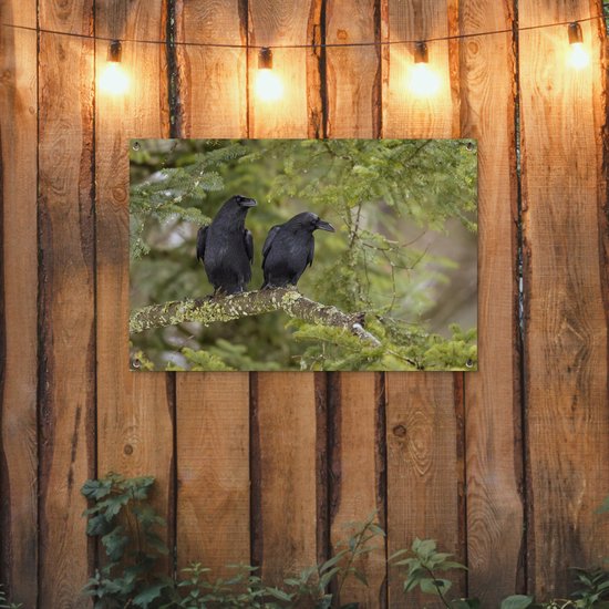 Deux corbeaux noirs sont assis ensemble sur une branche Affiche de jardin 90x60 cm - Toile de jardin / Toile d'extérieur / Peintures d'extérieur (décoration de jardin)
