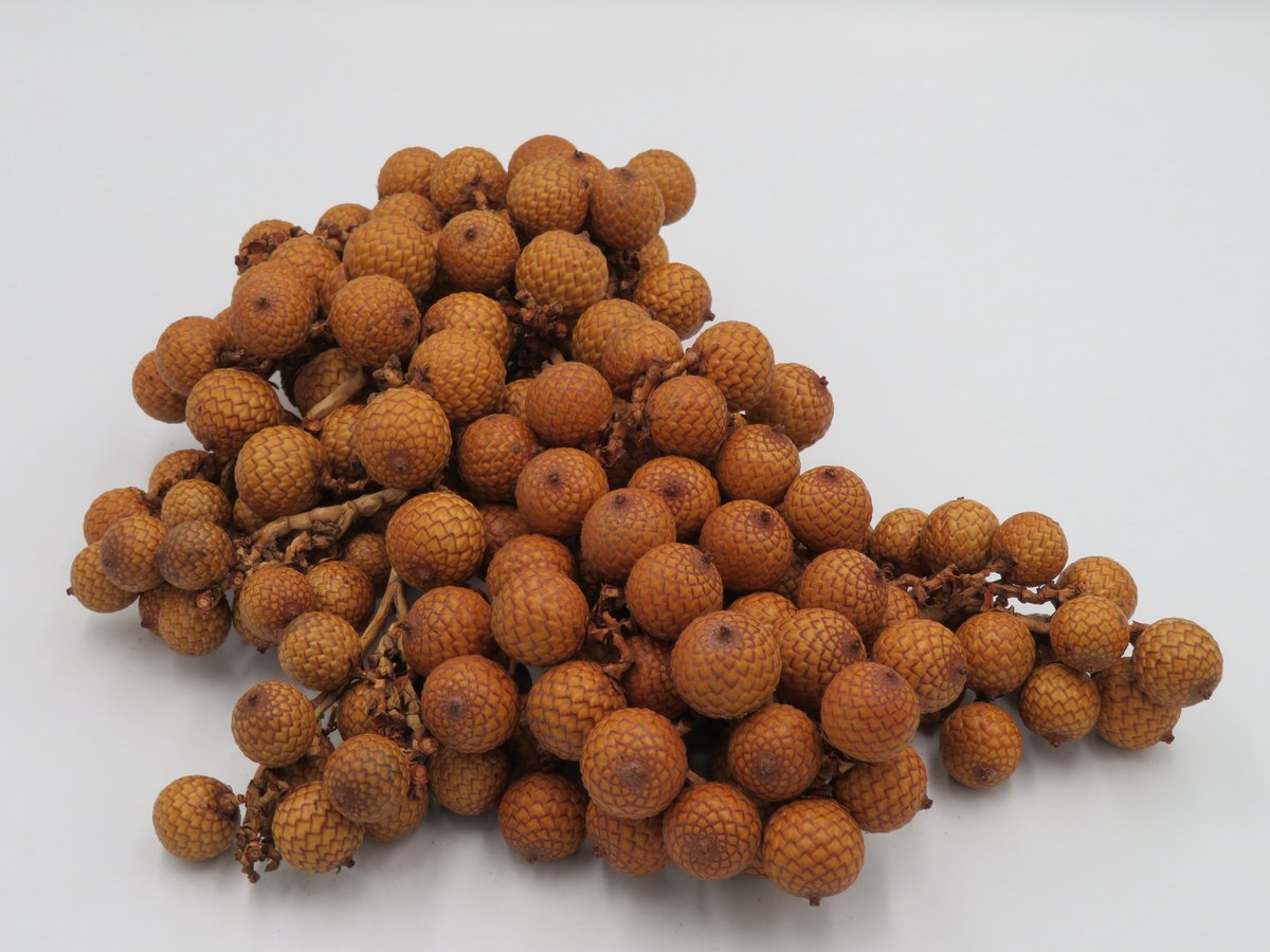 1 kg Robuuste natuurlijke decoratie - Rotan fruit - boho style - 100% natuurlijk - rustieke uitstraling - decoratie - interieur - etalage - bloemstuk -
