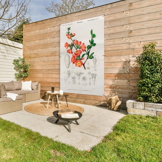 Décoration murale Plante - Vintage - Botanica - 120x180 cm - Affiche jardin - Toile jardin