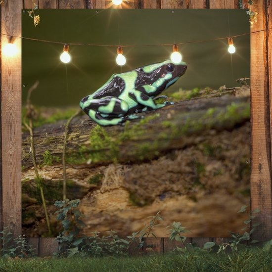 Groene pijlgifkikker met zwarte patronen op een mosbegroeid stuk hout, hangend op een houten schutting met lichtslinger.