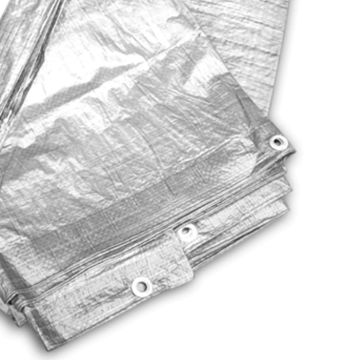 Dailygoods - Dailygoody dekzeil - Beschermend dekzeil - Zilver 120 g/m² - 2 m x 3 m - Veelzijdig gebruik - Ideaal voor tuin en transport