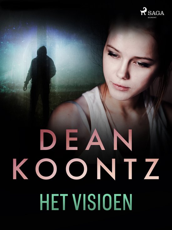 Het visioen - cover