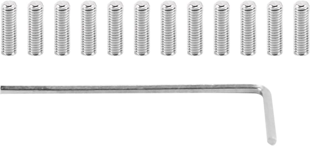Dailygoods - Set van 12 Gitaarbrug Zadel Hoogte Verstelschroeven