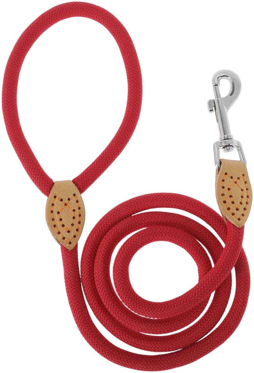 Dailygoods - Gevlochten Hondenriem met Stevige Karabijnhaak voor Training