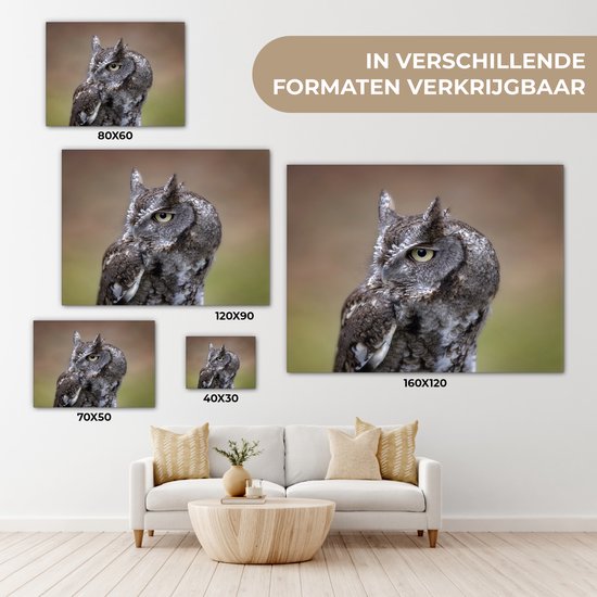 Gros plan d'un petit hibou sur toile 160x120 cm - Tirage photo sur toile (Décoration murale salon / chambre) XXL / Groot format!