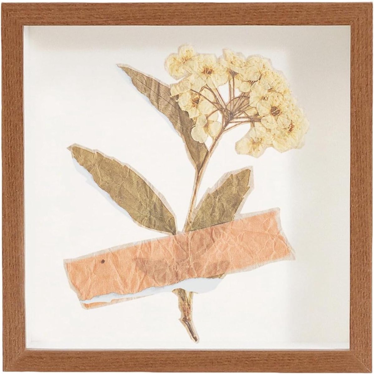 Herinneringsdoos Aandenken - Displaydoos Wandmontage - Aandenken Presenteren - Multifunctionele Wandmontage - 29 x 29 x 4.5 cm - Donker Walnoothout