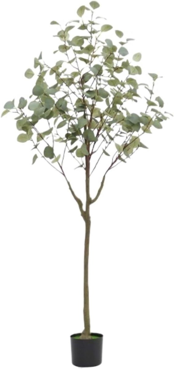 Kunstboom Eucalyptus - Nep Plant - Woonkamer Decoratie - Weinig Onderhoud - 150 cm - Groen