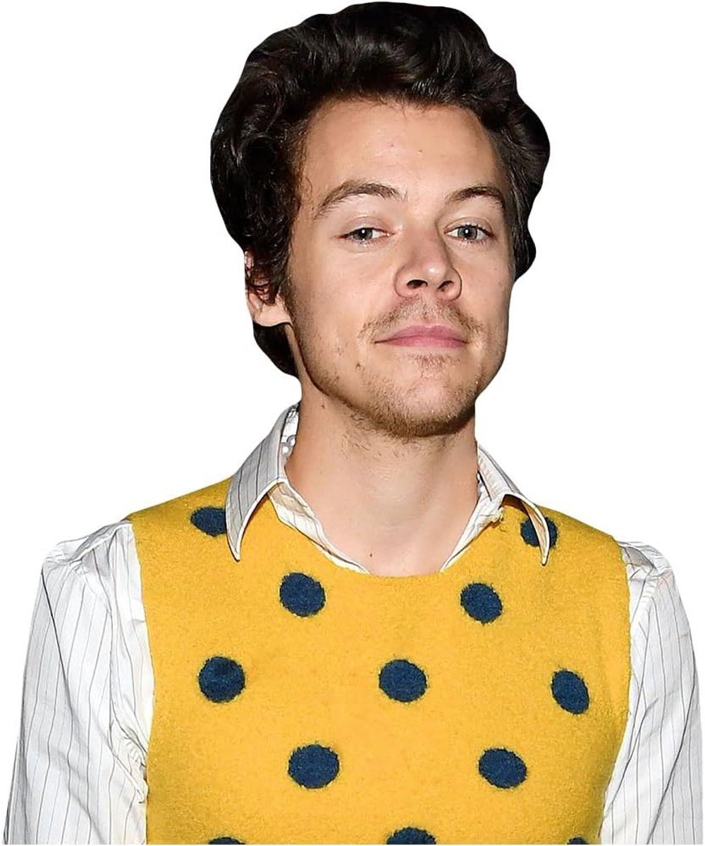 Harry E. Styles Buddy - Kartonnen figuur Levensgroot figuur - Feestdecoratie - Verstelbare veerpoot - 90 cm - Geel