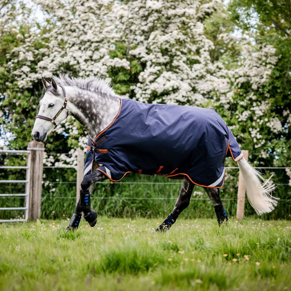 Rambo Original Turnout Lite met beenuitsparingen 100g Navy 125-175