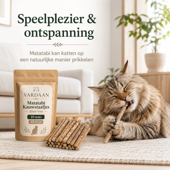 Kortharige kat met grijze strepen kauwt op een matatabi-stokje in een woonkamer, met Vordaan matatabi-zakje.