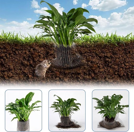 Tuingereedschap - Roestvrijstalen Wortelbescherming Manden - 25x23 cm - Draadmand voor Gophers en Woelmuizen - Voor Plantenwortels, Bomen, Bloemen, Groenten - 6 stuks van Tuingereedschap. — afbeelding 5