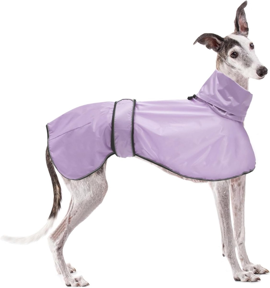 Verstelbare lichtgewicht regenjas voor honden met reflecterende banden en harnashole, ideaal voor Greyhounds, Lurchers en Whippets - Lilac - XXL