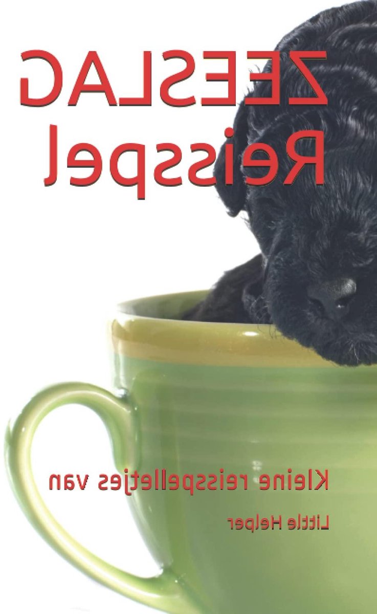 Zeetje Reisspel - Puzzelboekje Denkspel - Reizen Ontspannen - Basis Rekenen Oefenen - 49 Pagina's - Blauw