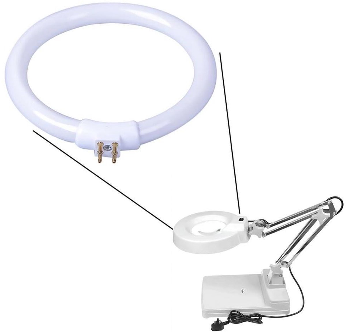 TL-buis T5 - Cirkel TL - Verlichting thuis - Energiebesparend - 22W - Daglichtwit