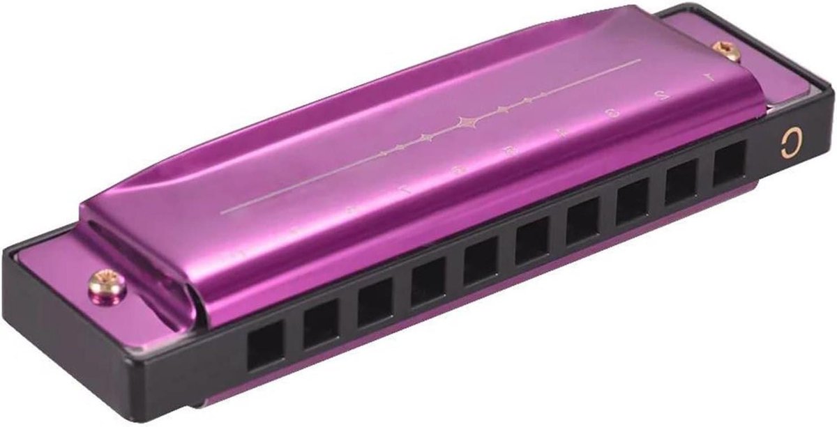 Mondharmonica Set - Diatonische Harmonica - Muziek Maken - ABS Rieten - 10 Gaten - Paars