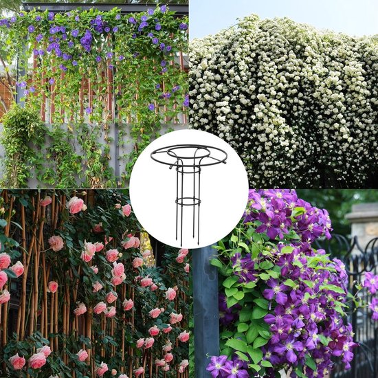 Collage met diverse klimplanten, waaronder blauwe bloemen tegen een schutting, witte bloemen aan een muur en roze rozen tegen bamboe.