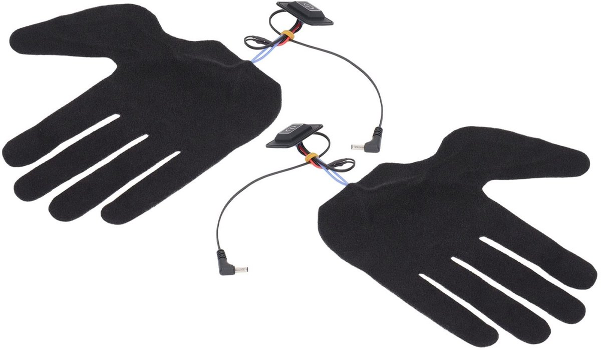 Dailygoods - Dailygoody - Verwarmde Handschoenen - Elektrische Wanten - 3 Verstelbare Verhitstanden - Winter - Oplaadbaar - Dames - 2 Stuks