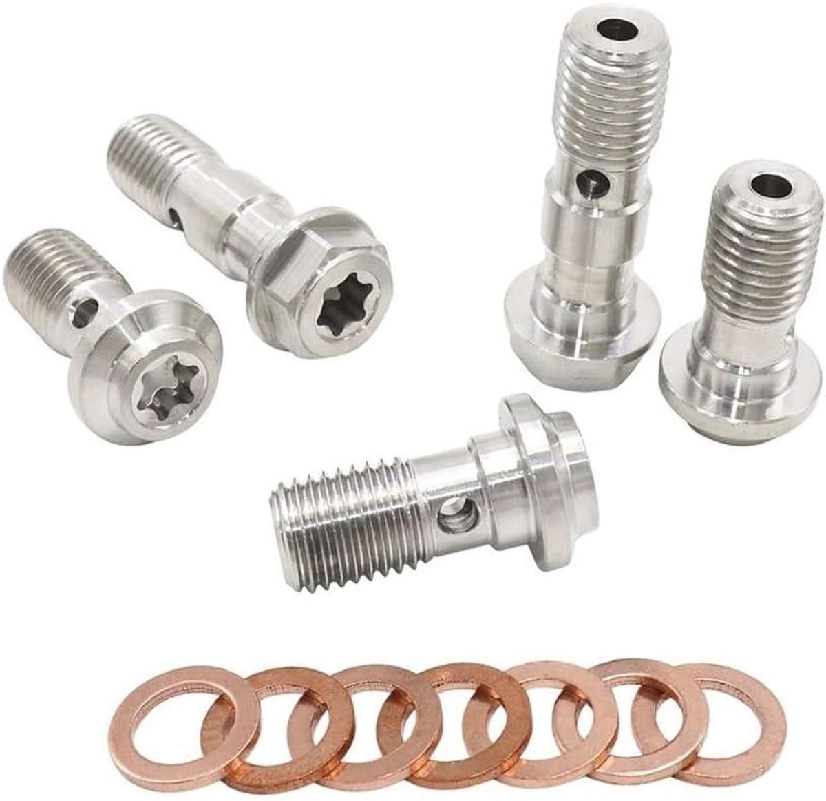 Remklauw Nippel Set - Ontluchtingsschroef Bouten - Motoronderhoud Remmen - Roestvrij Staal 304 - M10X1.0/1.25MM - Zilverkleurig