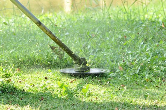Grasmaaier - Messenset - Grasmaaier Accu - Grasmaaier Elektrisch - Grasmaaier Bosmaaiers Messen - 16 Messen - Voor Tuin Gazon — afbeelding 5