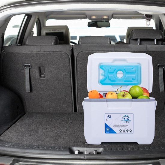 Outdoor Fridge, 6 L Cool Box with Ergonomic Handle, Cool Box, Preservation Cooling Box, Heat and Cold Insulation, for Car Boots and Outdoor Seats, Self-Propelled Travel, 30 x 19 x 20.5 cm van OutDoor — afbeelding 5