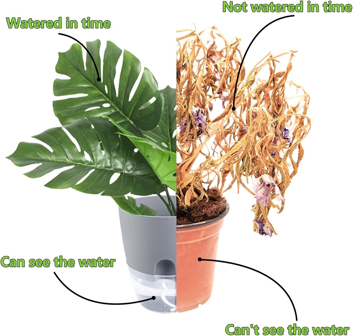 Zelfwaterende Kruidenpotjes Set van 3 – Kruidenpot met Waterreservoir – Bloempot voor Keuken, Vensterbank en Balkon – Moderne Zelfbewaterende Plantenpot voor Binnen — cadeau in Kookcadeaus - foto 7