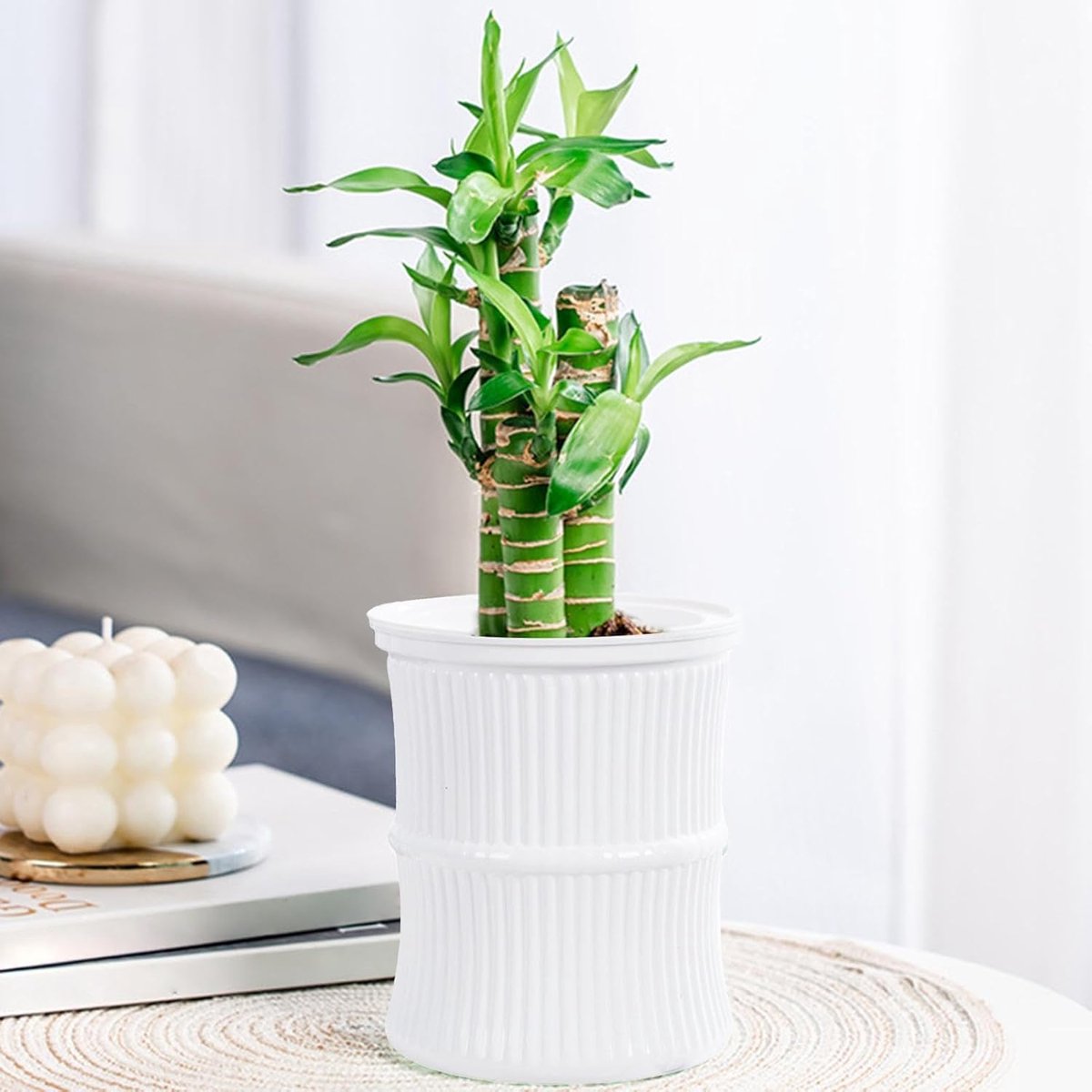 Zelfwater gevende bloempotten,Zelfwater gevende plantenpotten,Kleine Potplanten Containers Waterreservoir Potten - Anti-lek irrigatiepotten voor entree, balkon, slaapkamer, woonkamer, studeerkamer — cadeau in Cadeau-ideeën - foto 2