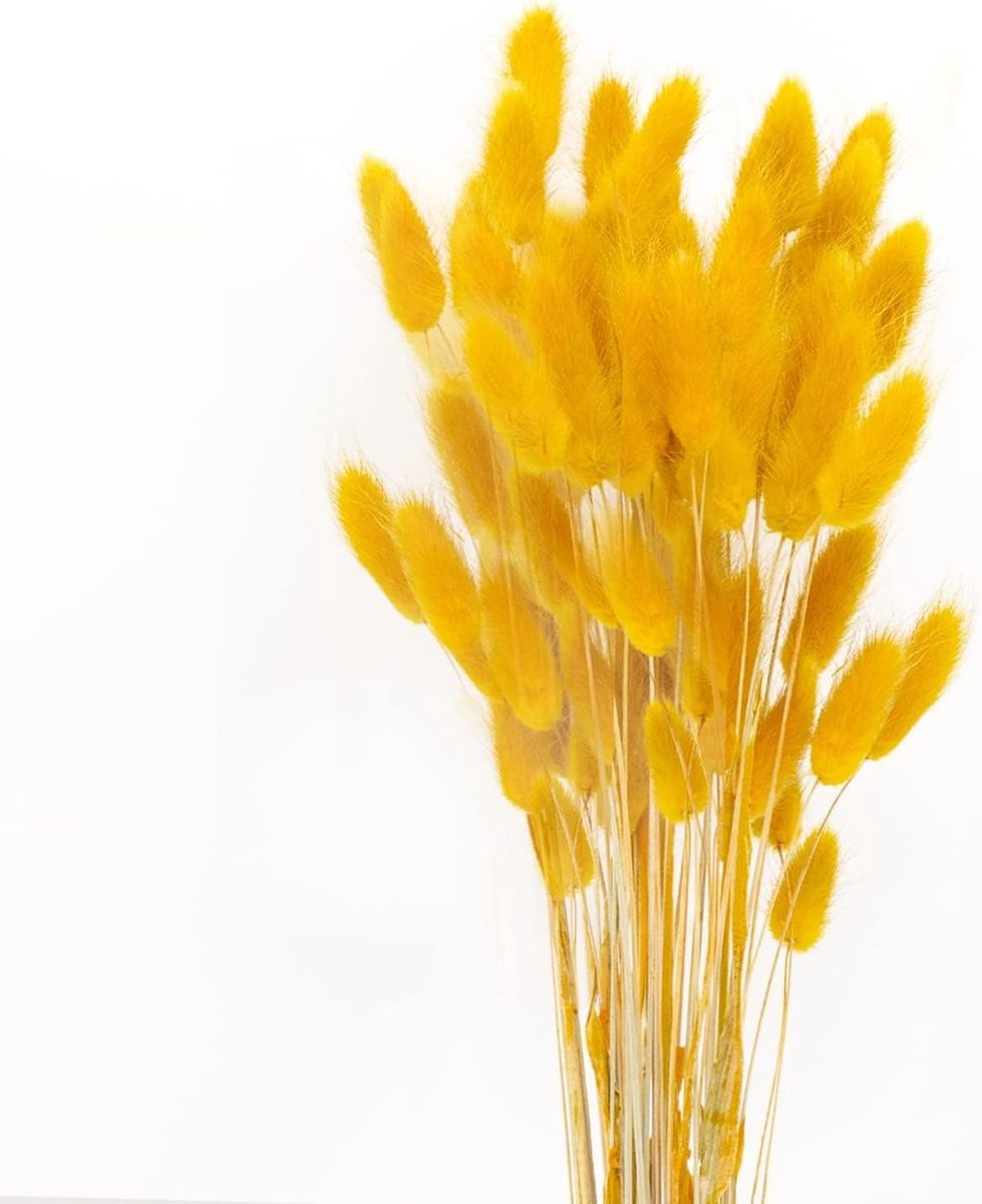 50 Sticks Gedroogde Pampasgras Bloemen - Geurloos, Nooit Verwelkt, Boho Decor, Extra Fluffy, Decoratieve Accessoires voor Thuis
