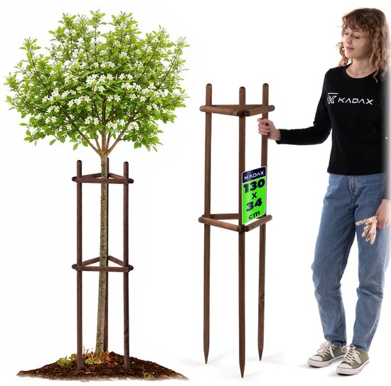 Bruine houten boomsteun met bruine paaltjes, een bloeiende boom in het midden en een vrouw die ernaast staat.