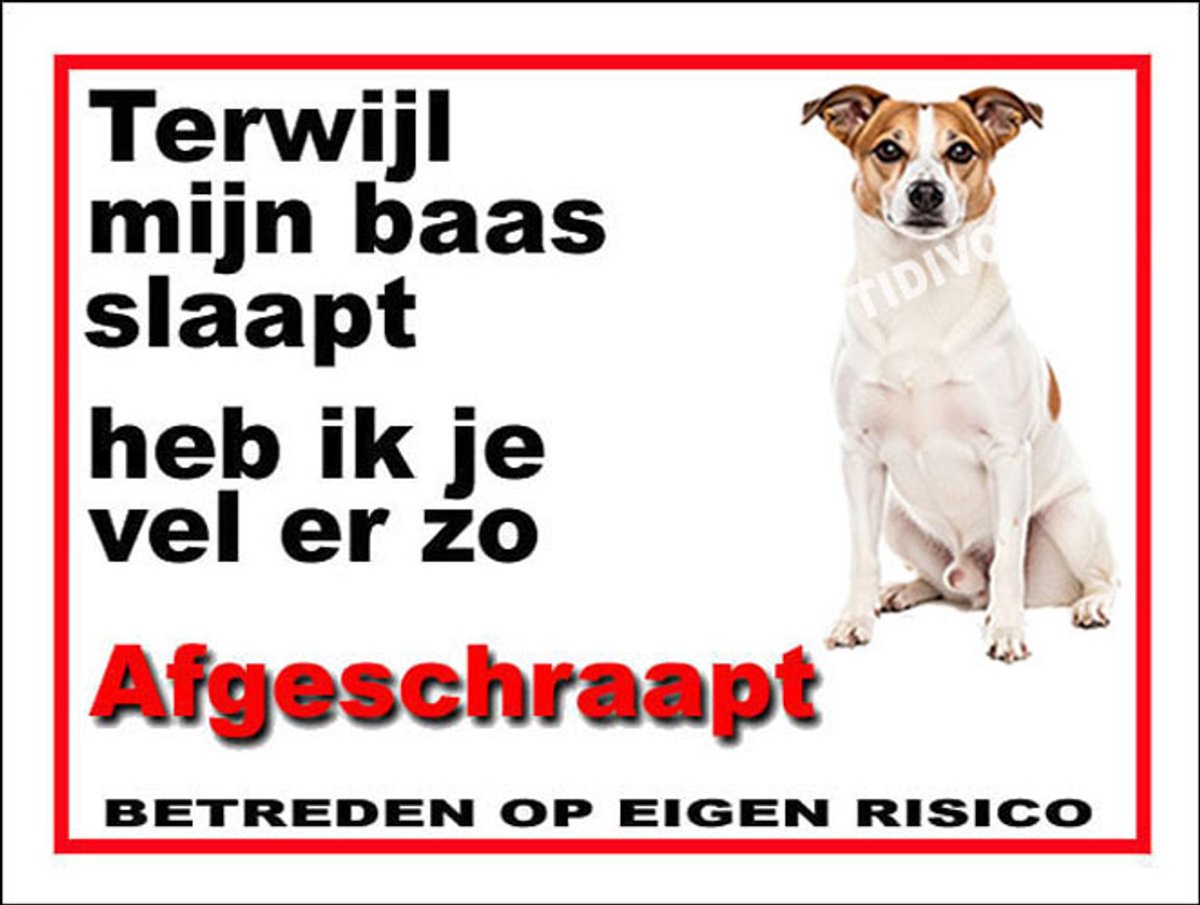 Norrbottenspets 15