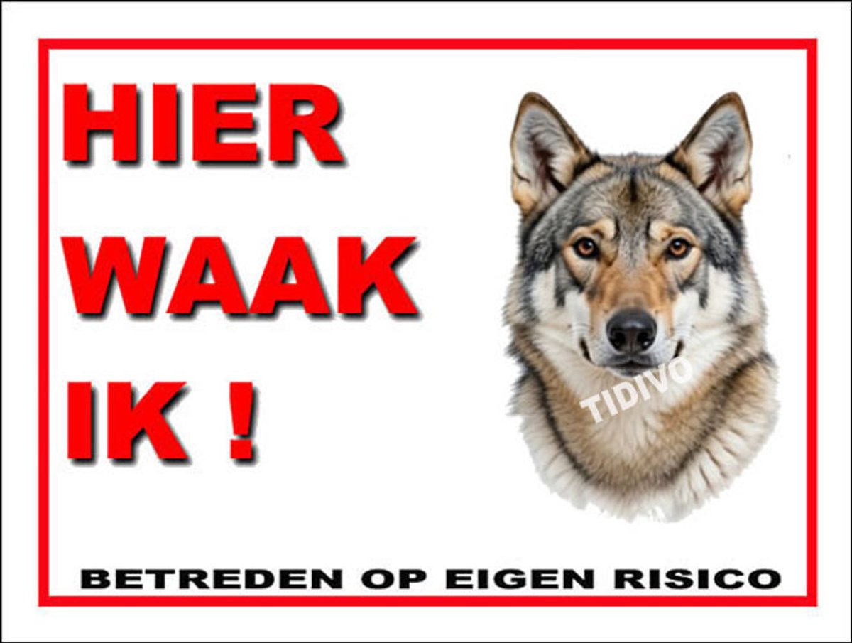 Saarlooswolfhond 3