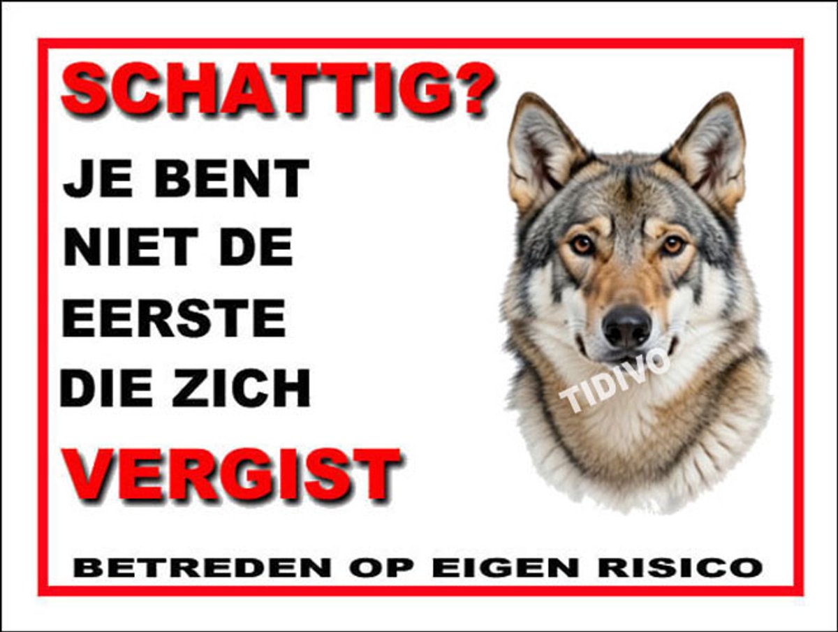 Saarlooswolfhond 14