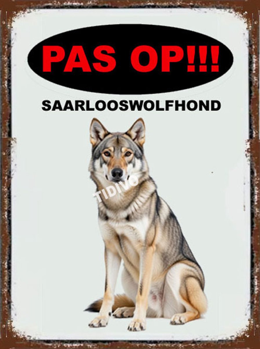 Saarlooswolfhond 17