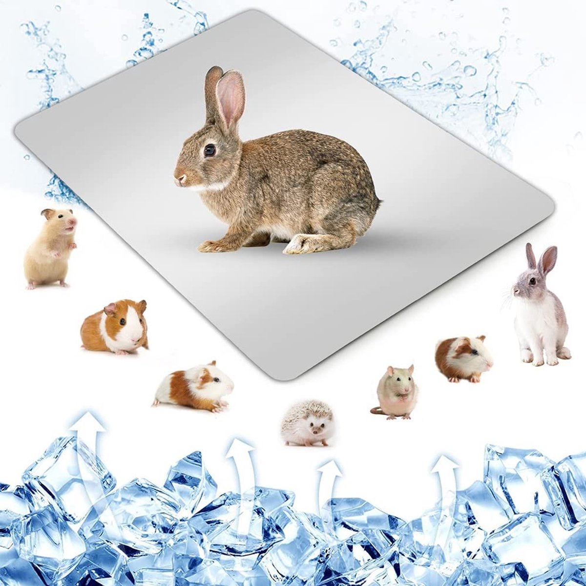 Allecto - Koelmat voor Huisdieren - Aluminium Koelplaat voor Hamsters, Konijnen en Cavia's - 30x20cm - Ideaal voor warme dagen - Ondersteunt temper...