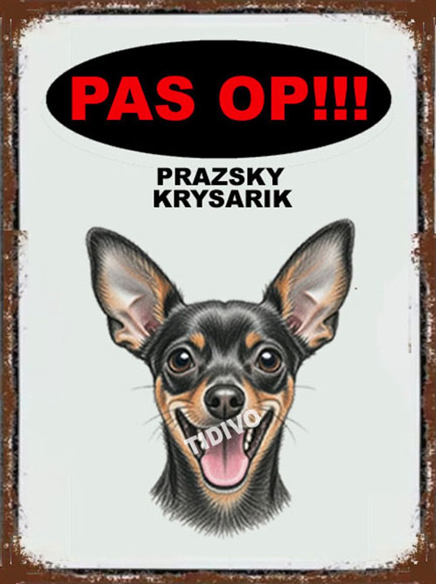 Prazsky Krysarik 17