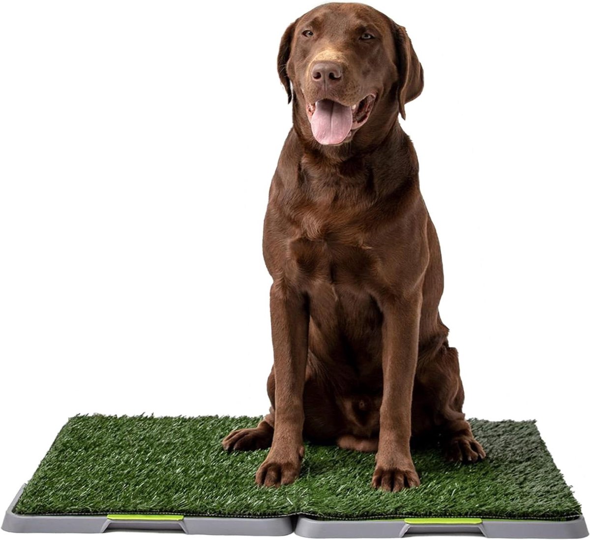 Hondenplasbak - Honden wc - Binnenshuis zindelijkheid - Eenvoudig te reinigen - 34 x 27 inch - Groen