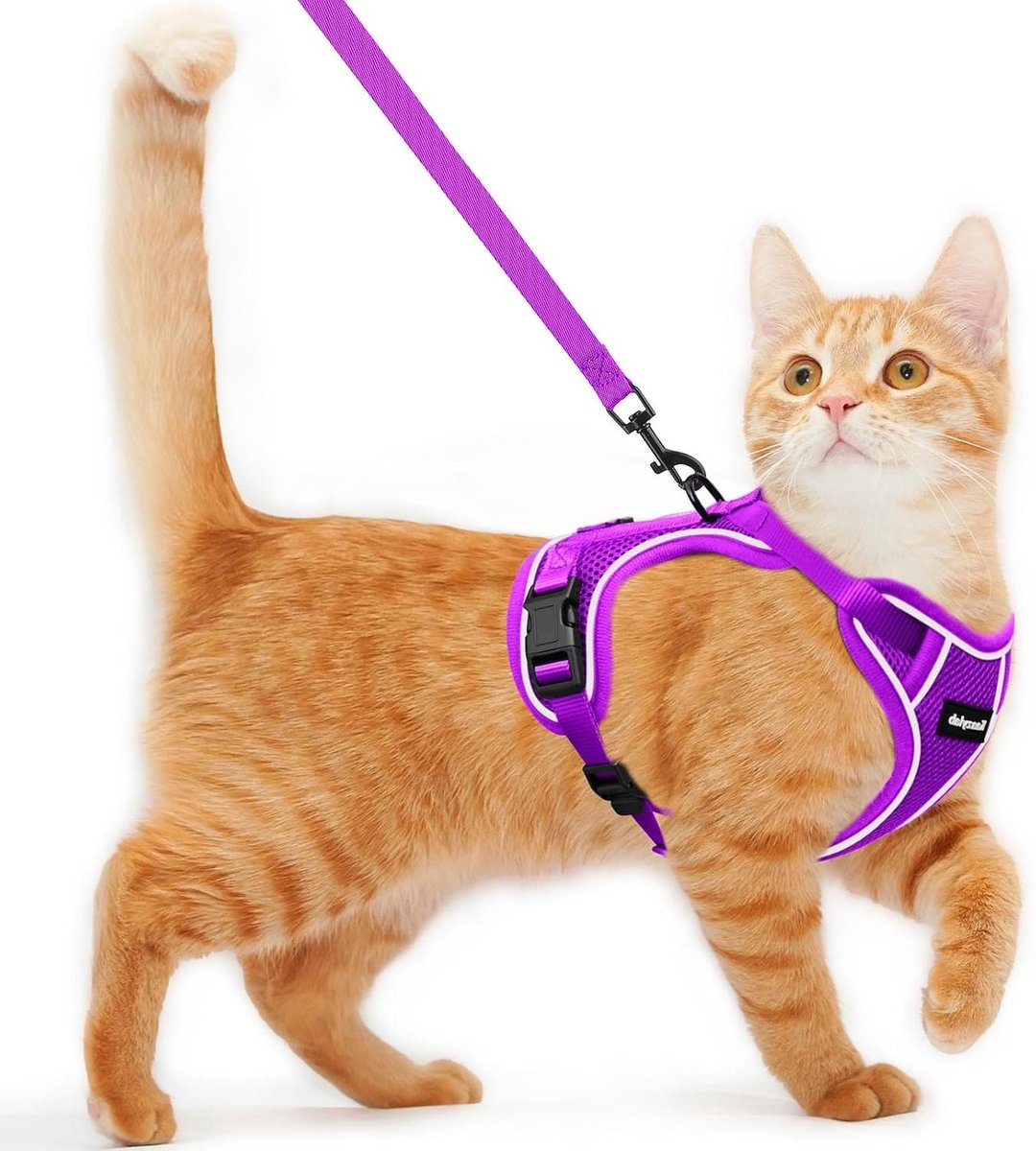 Kattenharnas en riem - Veilig tuigje - Buitenavonturen - Ontsnappingsbestendig ontwerp - Maat XS - Paars