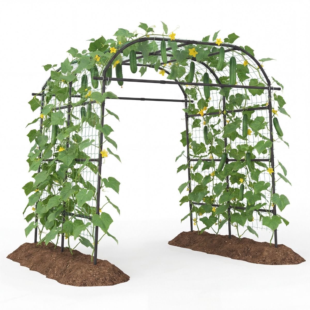 Tuinboog - 245 x 181 x 230 cm - massief - weerbestendig - Zwart