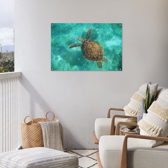 Affiche de jardin Tortue de mer au Reef d'Apo - 100x60 cm - Décoration murale Outdoor - Affiche de jardin - Toile de jardin - Affiche de clôture - Tableau de jardin