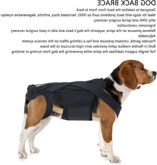 Steunband voor honden met artritis en IVDD, rugondersteuning voor herstel, pijnverlichting en comfort — afbeelding 5