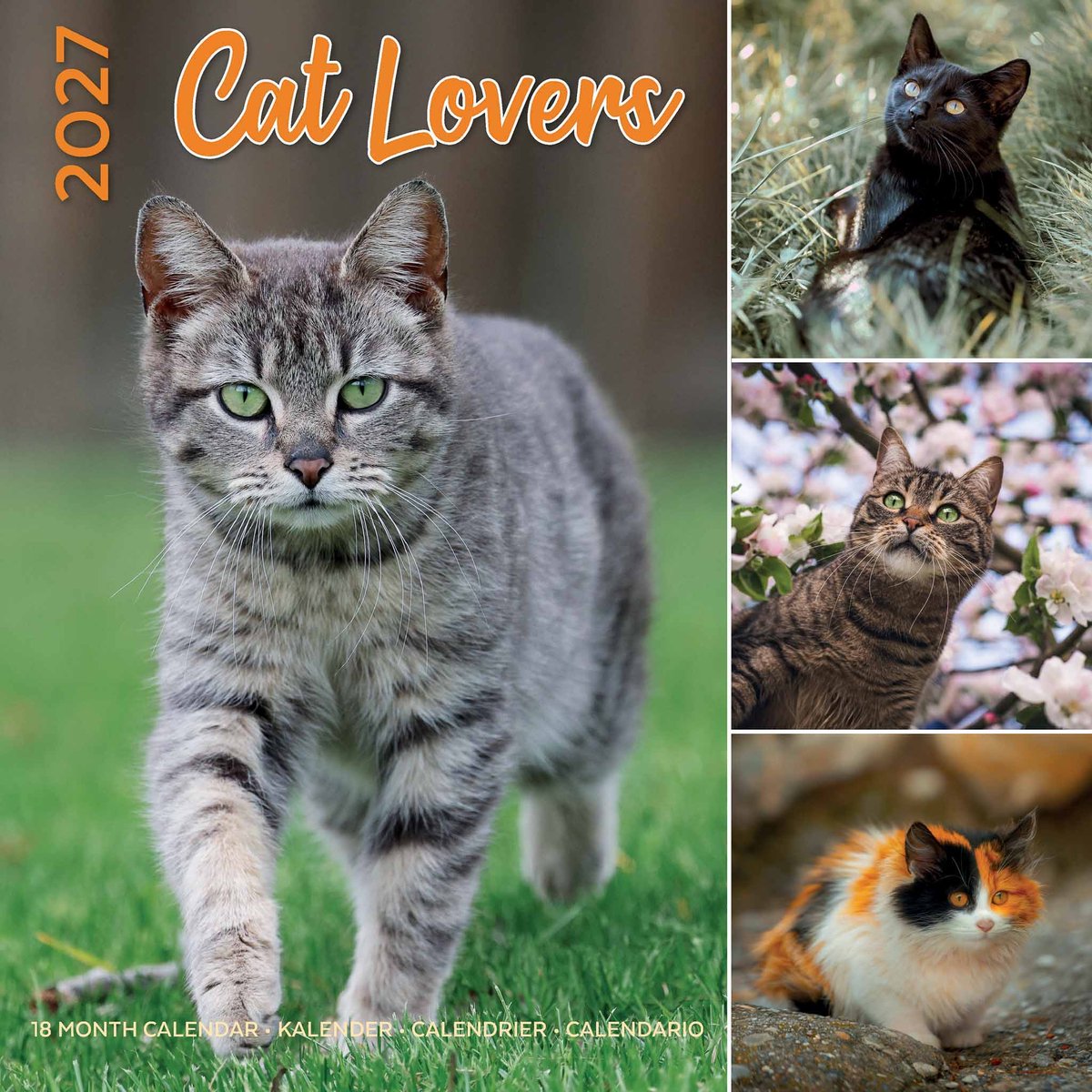 Cat Lovers Kalender 2027