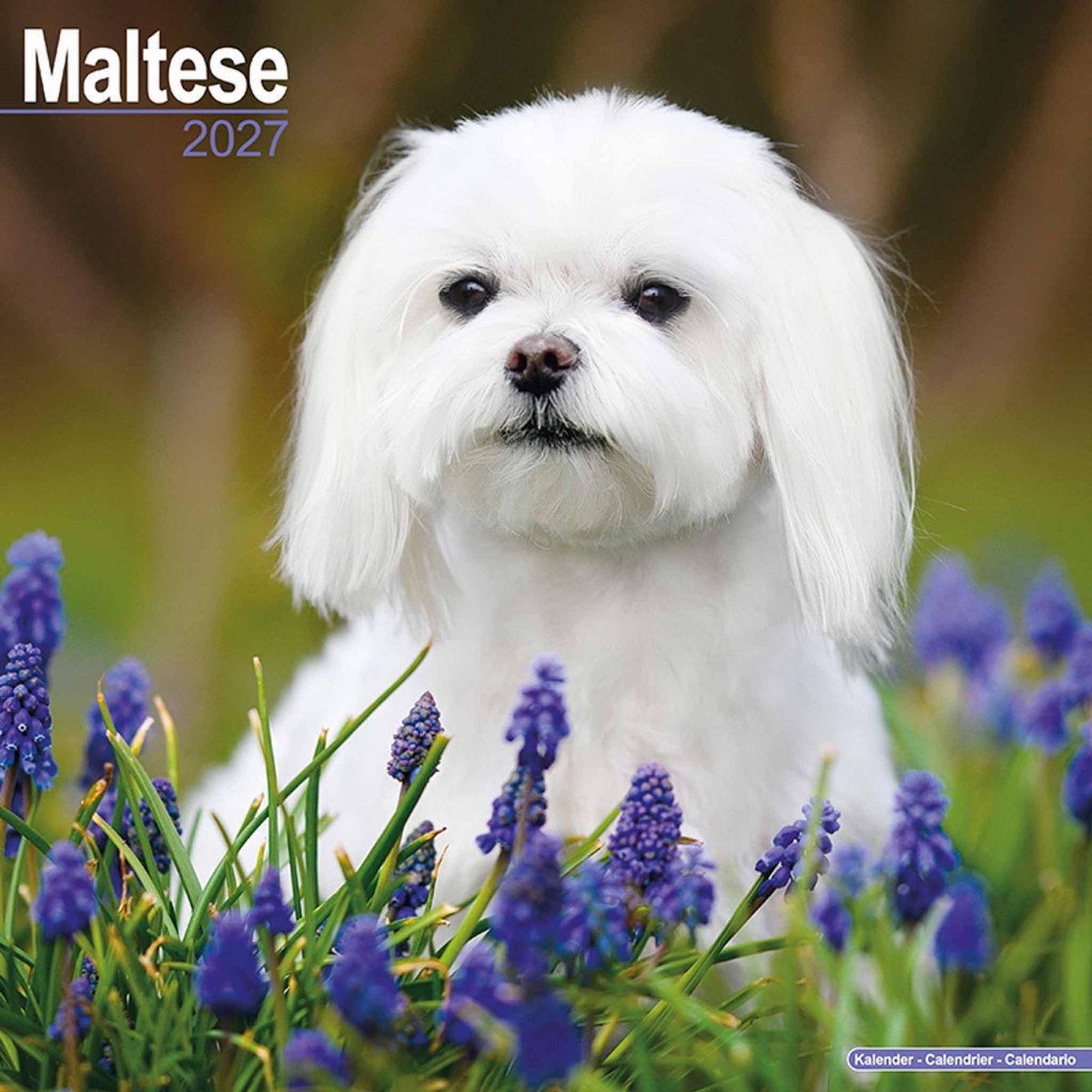 Maltezer Kalender 2027